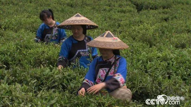 致富经 包出来的财富_致富经包出来的财富_致富宝app