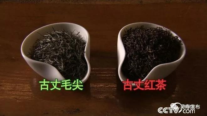 致富经 包出来的财富_致富经包出来的财富_致富宝app