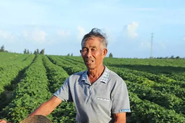 农民种植致富_揭秘农村种植致富_农村致富新项目种植