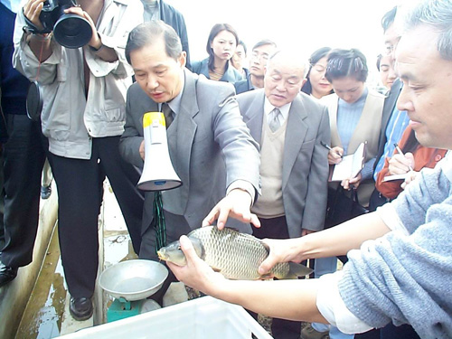 鲮鱼的养殖防虫技术_鲮鱼病害防治_魟鱼驱虫用什么药安全