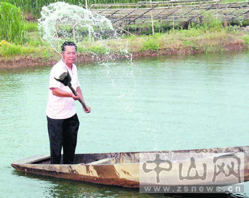 致富经养河豚_养殖河豚赚钱吗_养殖河豚多少钱一只