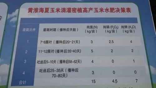 农村致富新项目种植_揭秘农村种植致富_农村致富项目种植业