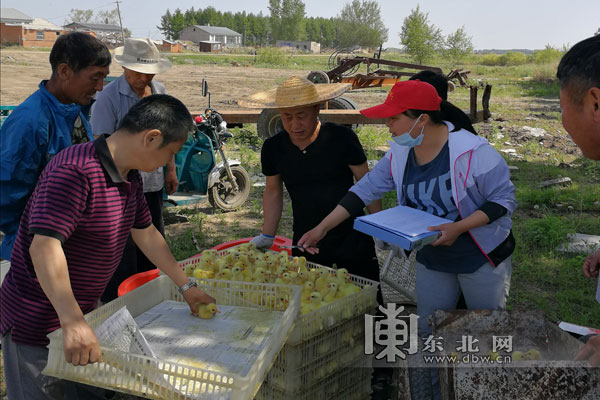 致富经 李艳_致富经李玉栋_致富经李歌