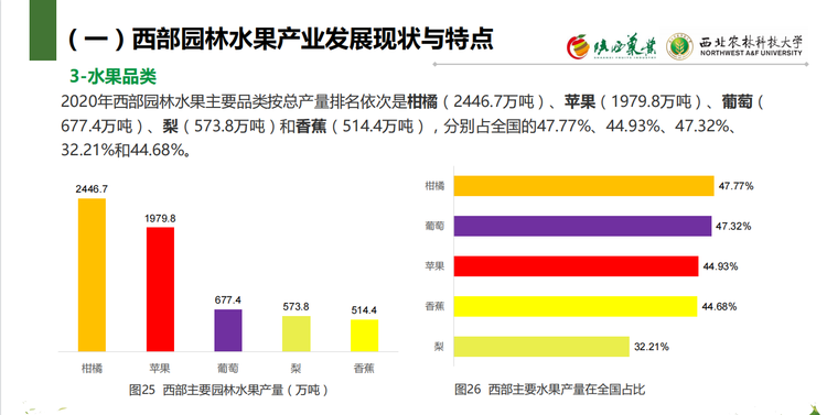 （转载) 首份西部水果产业发展报告：西部果园面积占全国半壁江山 多种水果产量第一