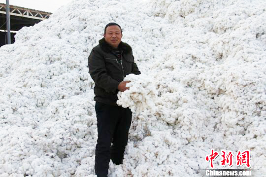 新疆种棉大户致富经：种植讲科学 种得多不如种得精