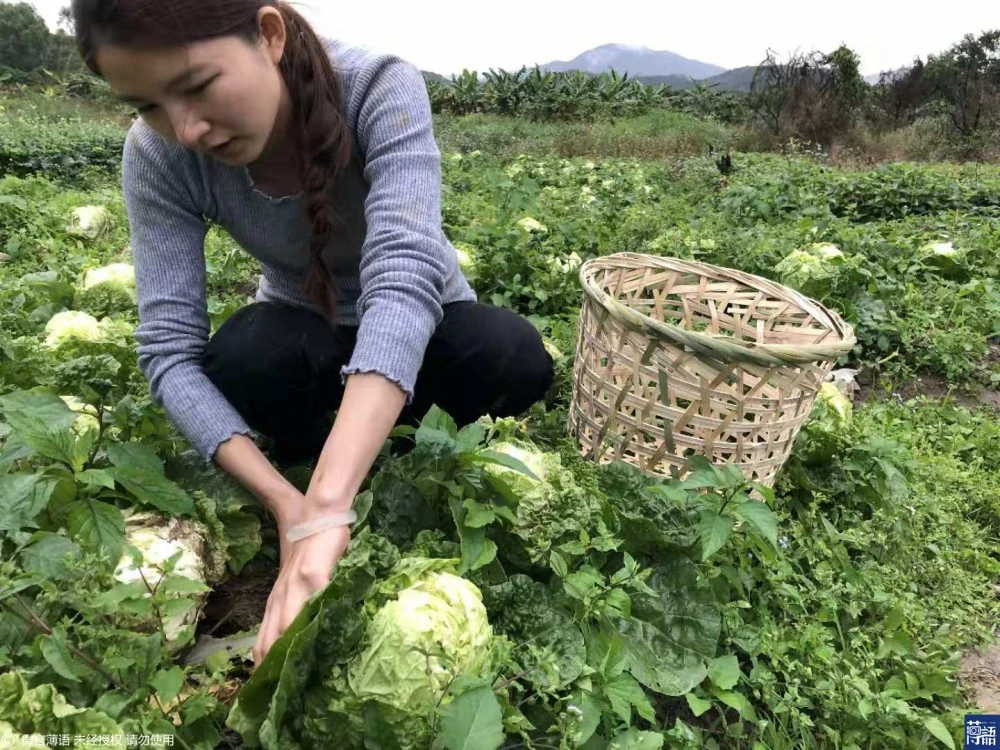 河南农村女孩养殖致富能手_小伙养殖致富_河南养猪女孩