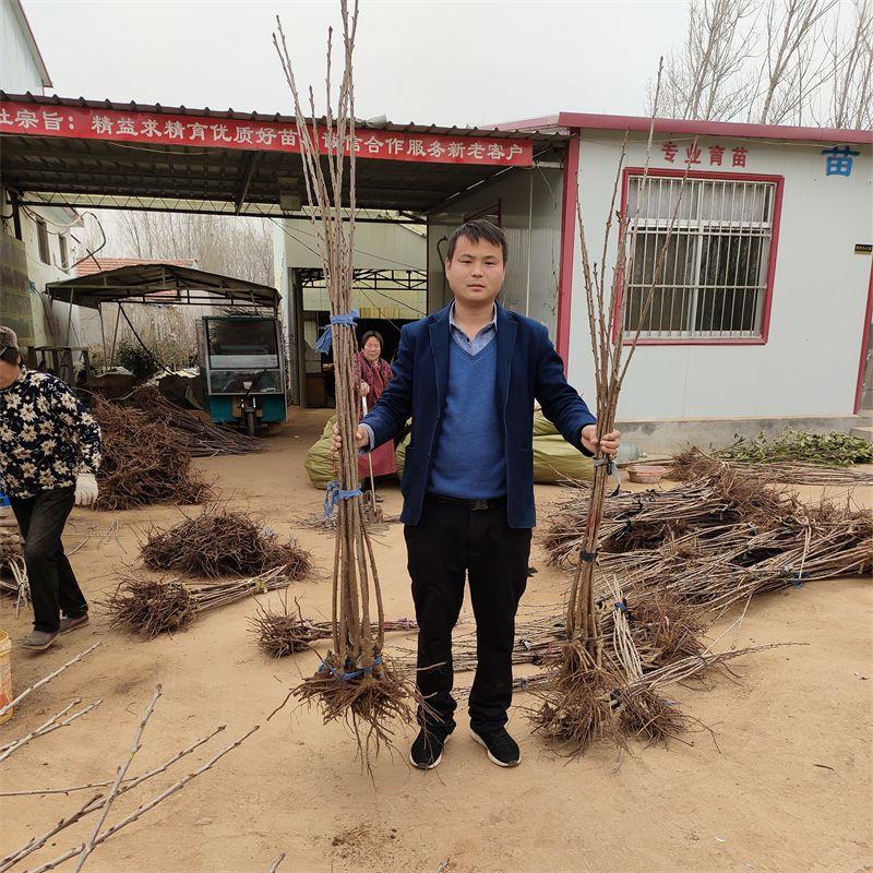 致富点子种植_致富种植什么比较赚大钱_致富好项目种植