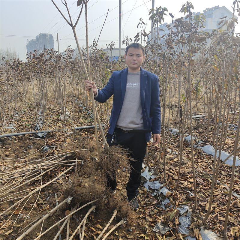 致富好项目种植_致富种植什么比较赚大钱_致富点子种植