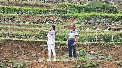 安顺农民种植致富_贵州农村种植业致富项目_致富种植农民安顺有补贴吗