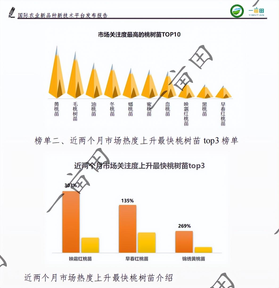 致富种植创业项目_种植致富新项目_致富点子种植