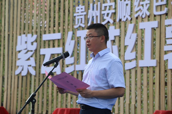 致富种植农民安顺有补贴吗_农民致富种植项目_安顺农民种植致富