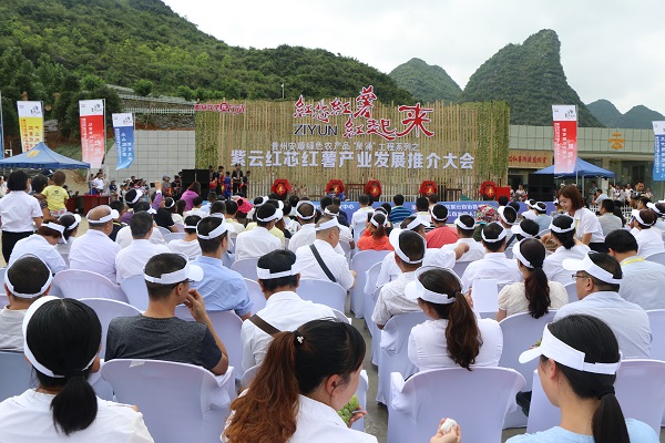 安顺农民种植致富_农民致富种植项目_致富种植农民安顺有补贴吗