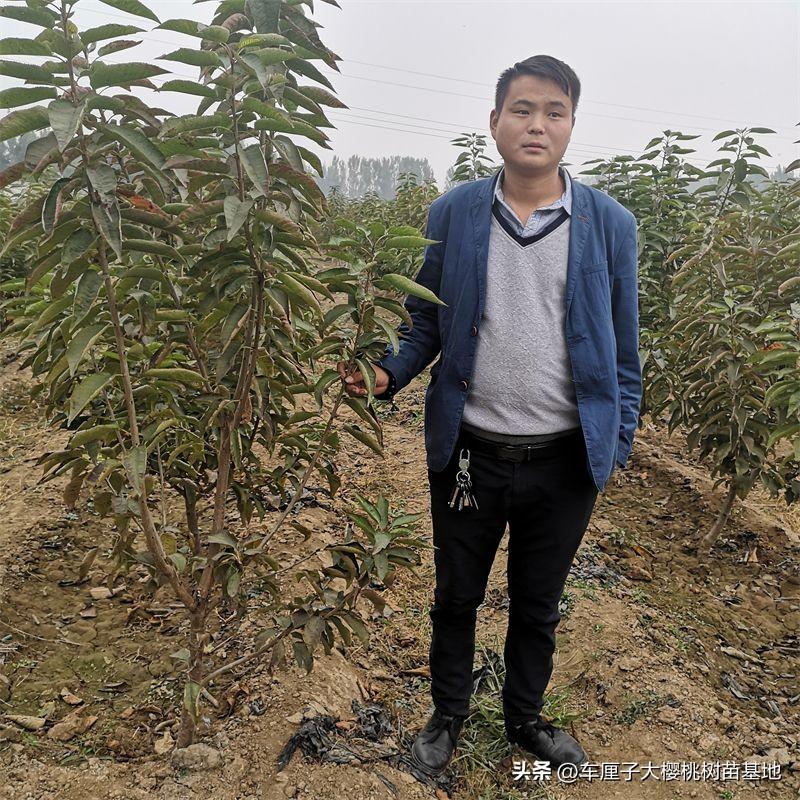 致富种植什么比较赚大钱_致富点子种植_致富种植视频全集