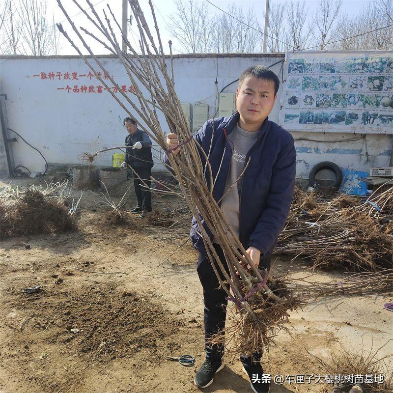 致富种植什么比较赚大钱_致富种植视频全集_致富点子种植