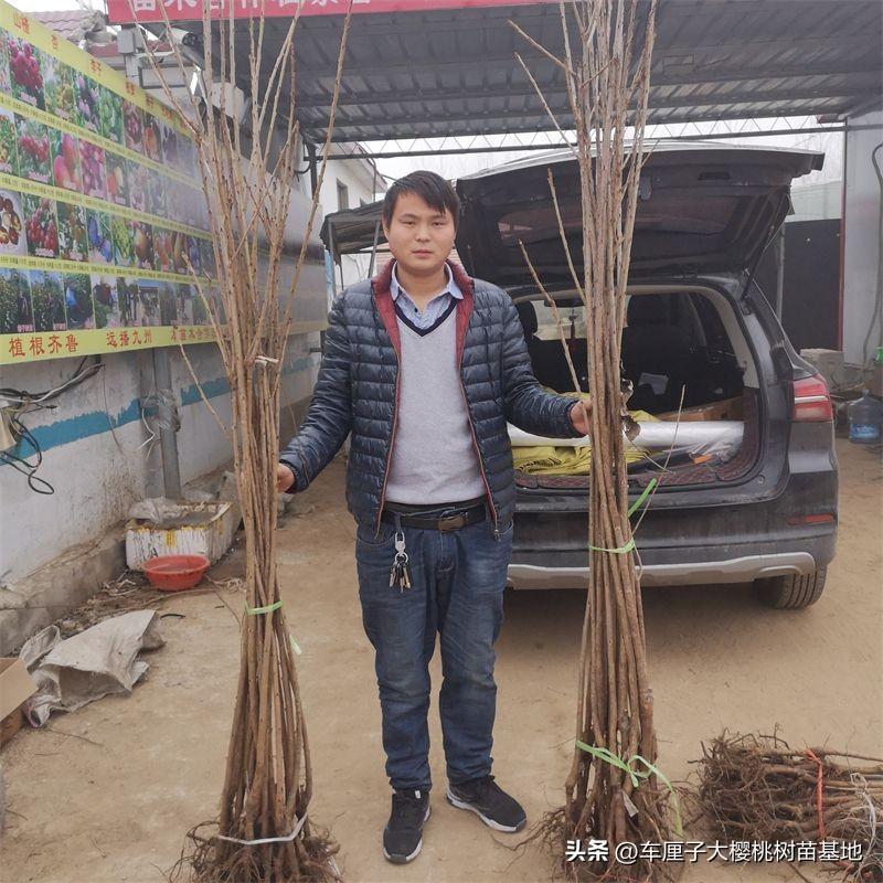 致富种植视频全集_致富种植什么比较赚大钱_致富点子种植