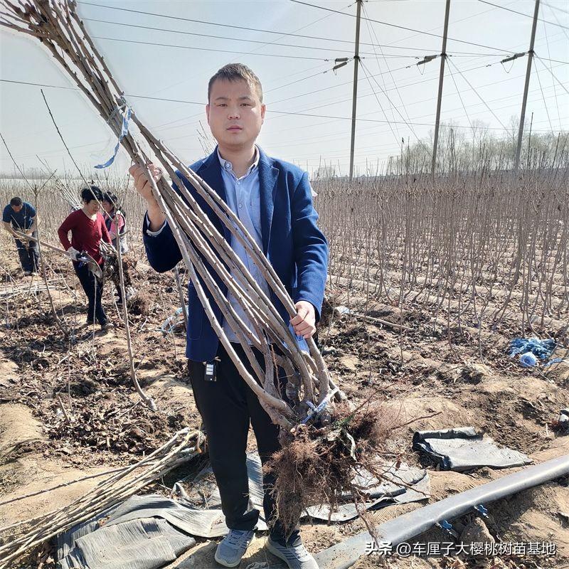 致富种植什么比较赚大钱_致富点子种植_致富种植视频全集