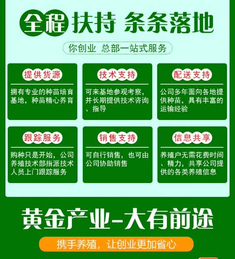 养殖土元效益如何_土元养殖需要技术吗_养殖土元的周期是多久