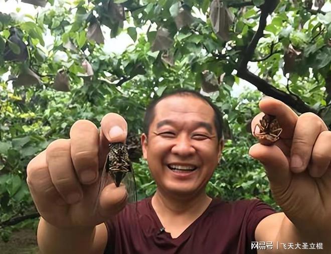 地热种植业_地热种植技术_地暖种植致富