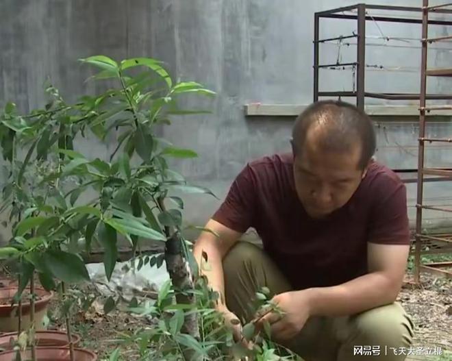 地热种植业_地暖种植致富_地热种植技术