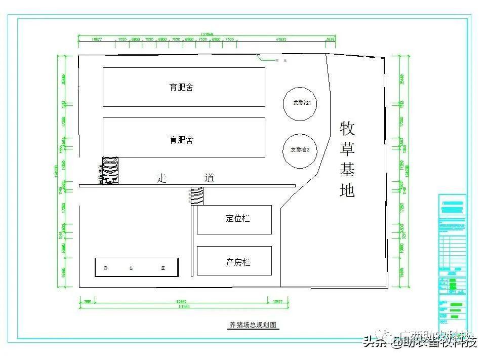 视频养殖猪技术大全_养殖场猪的视频_养殖猪技术视频