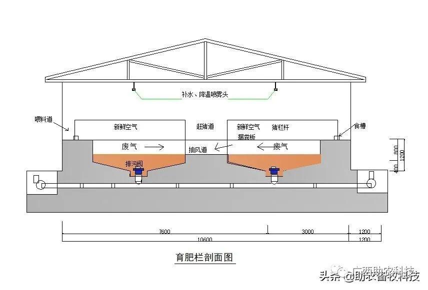 视频养殖猪技术大全_养殖猪技术视频_养殖场猪的视频