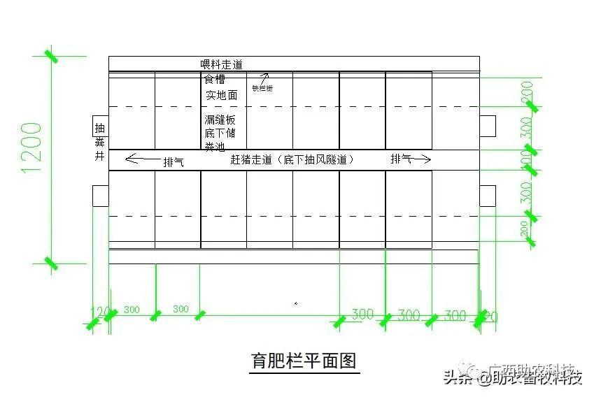 视频养殖猪技术大全_养殖猪技术视频_养殖场猪的视频