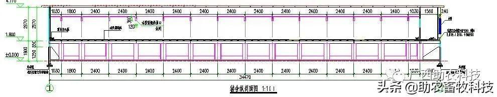 养殖场猪的视频_视频养殖猪技术大全_养殖猪技术视频