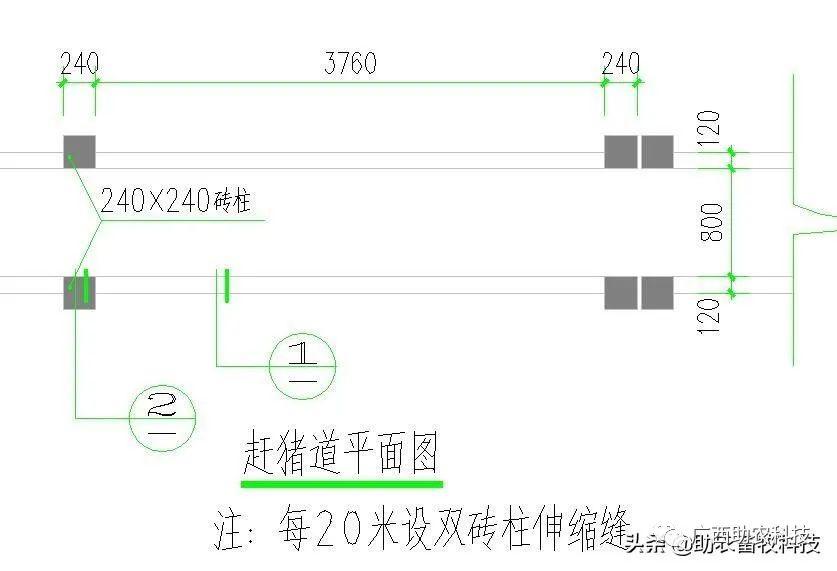 养殖猪技术视频_养殖场猪的视频_视频养殖猪技术大全