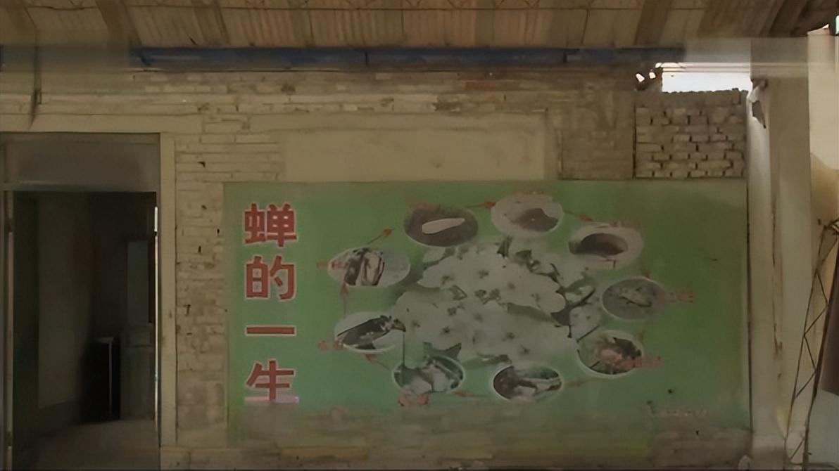 地热种植技术_地暖怎么养植物_地暖种植致富