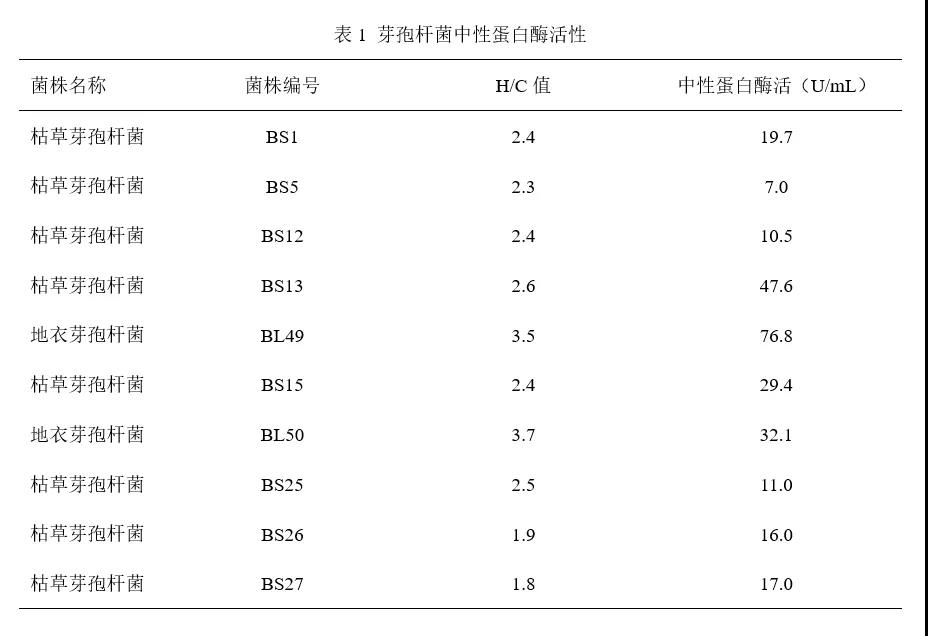 玉米加工副产物生产发酵饲料菌株筛选与在畜禽上的应用