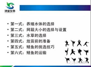 养殖关键黄鳝技术要点_黄鳝养殖技术全流程_黄鳝养殖的关键技术