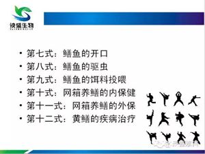 黄鳝养殖的关键技术_黄鳝养殖技术全流程_养殖关键黄鳝技术要点