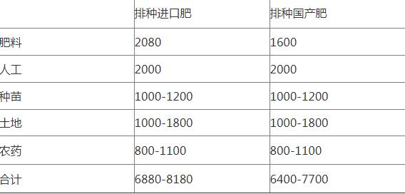 甘蔗种植项目方案_甘蔗种植致富宝_甘蔗种植效益