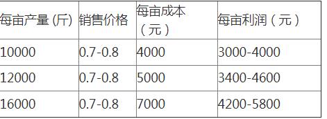 甘蔗种植效益_甘蔗种植致富宝_甘蔗种植项目方案