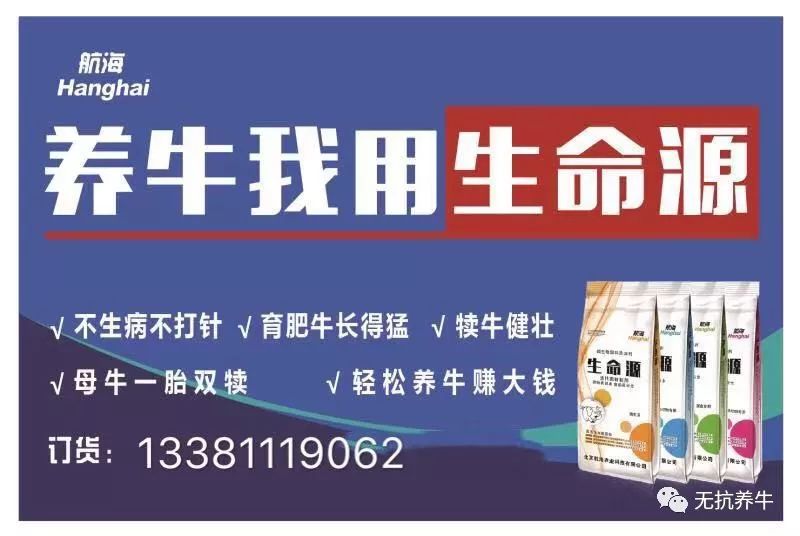 养殖牛技术大全教程_养殖牛的方法_牛的养殖技术方法