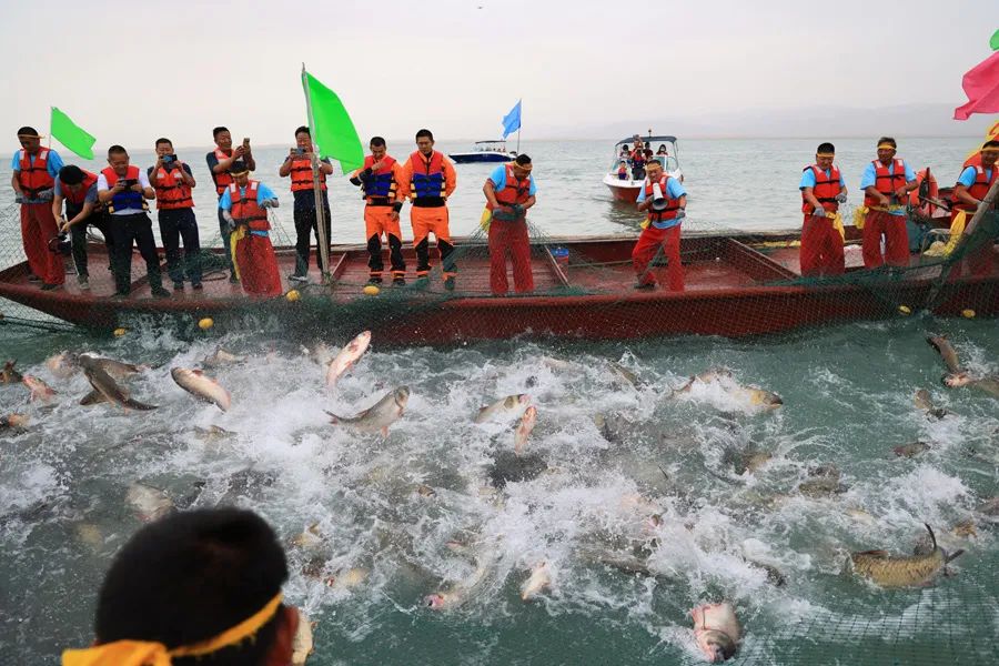 海鲜养殖技术视频_海鲜的养殖技术_海鲜养殖技术大全