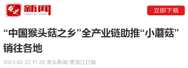 【龙头新闻·黑龙江日报】“中国猴头菇之乡”全产业链助推“小蘑菇”销往各地