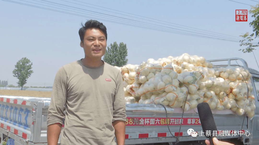 甜瓜高产种植技术_种甜瓜赚钱吗_甜瓜种植致富增收