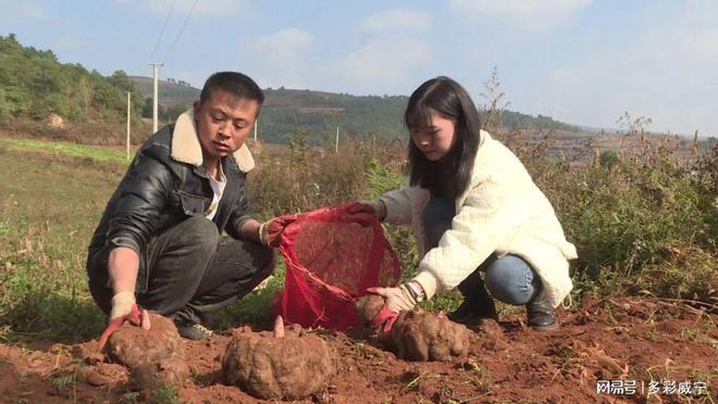 致富经种殖魔芋_致富经魔芋种植技术视频_致富殖种魔芋怎么种