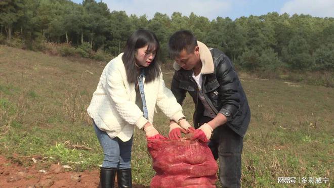 致富经魔芋种植技术视频_致富殖种魔芋怎么种_致富经种殖魔芋