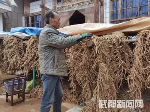 致富经茶叶菜_茶叶致富经_食材_茶叶菜谱大全窍门