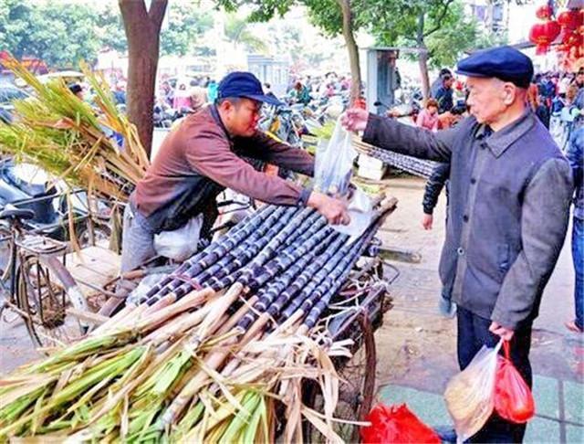 老汉在家种甘蔗一年收入可观，甘蔗叶子喂养的牛肥又壮