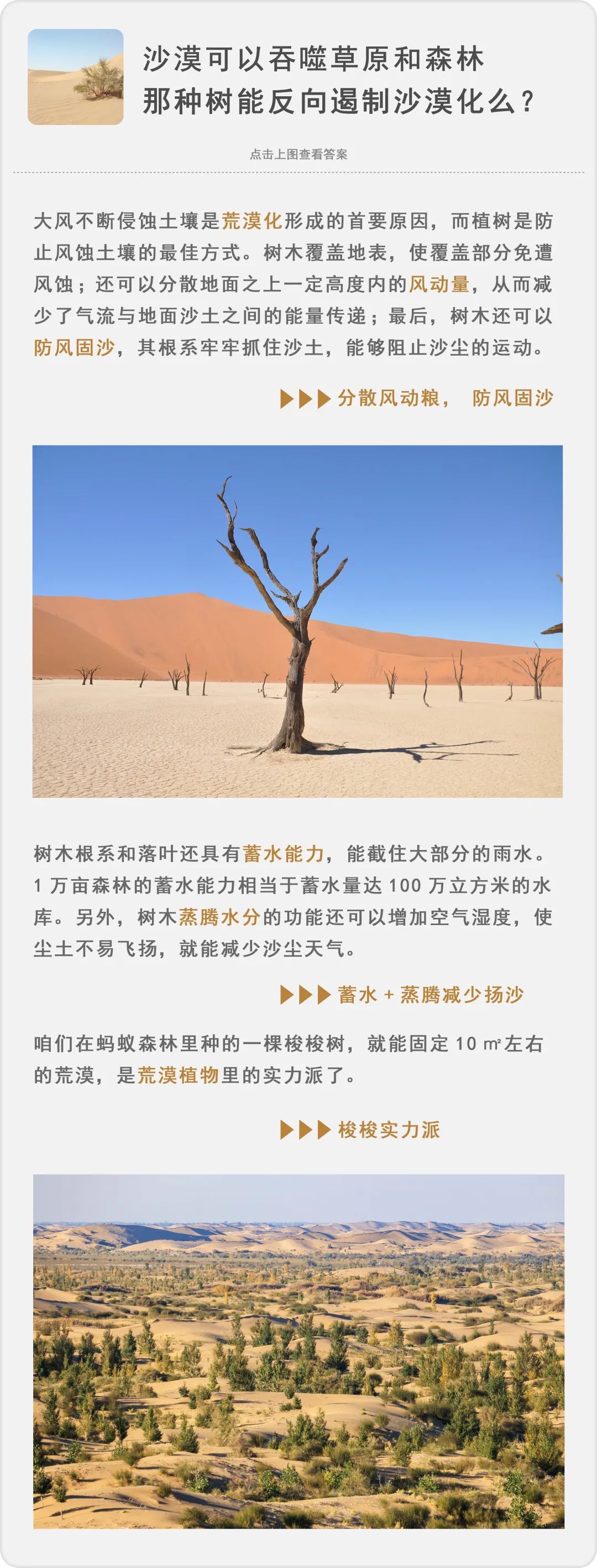 种树致富经_种植什么树致富快_致富经种树的创业项目