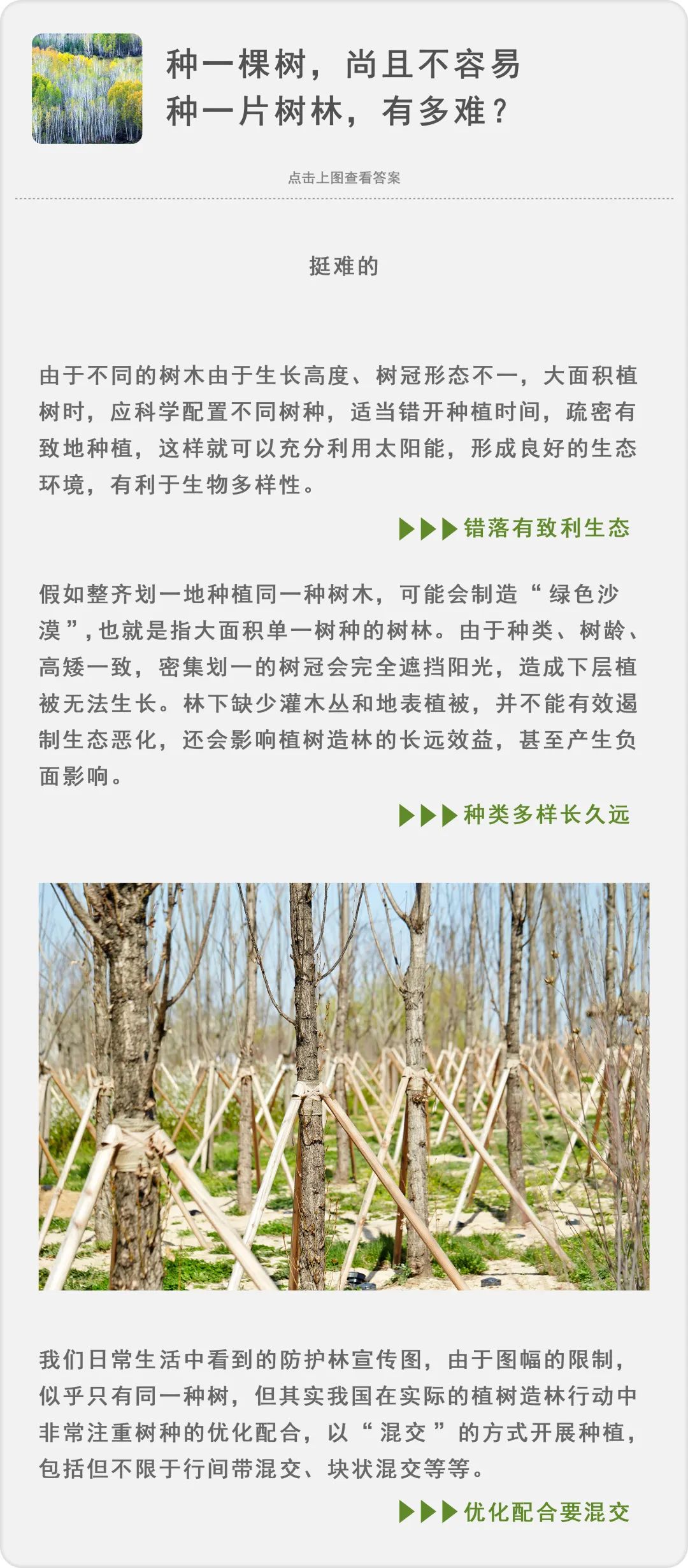 致富经种树的创业项目_种树致富经_种植什么树致富快