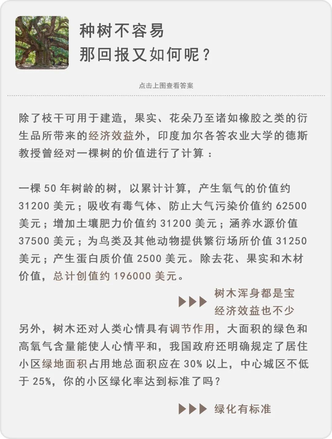 种树致富经_致富经种树的创业项目_种植什么树致富快