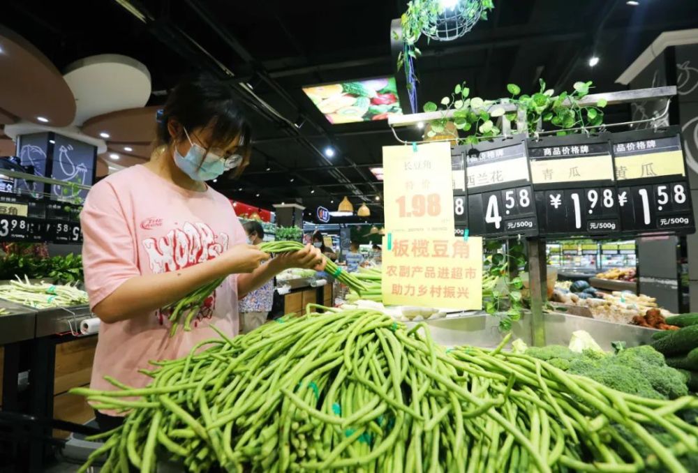 养殖昆虫增收致富_昆虫养殖赚钱吗_昆虫致富养殖增收方案