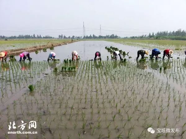 立体养殖北方水蛭技术要求_北方立体水蛭养殖技术_水蛭立体养殖技术视频