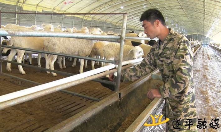 致富经养鸡小伙_小伙家庭养殖致富_致富小伙养殖家庭电视剧