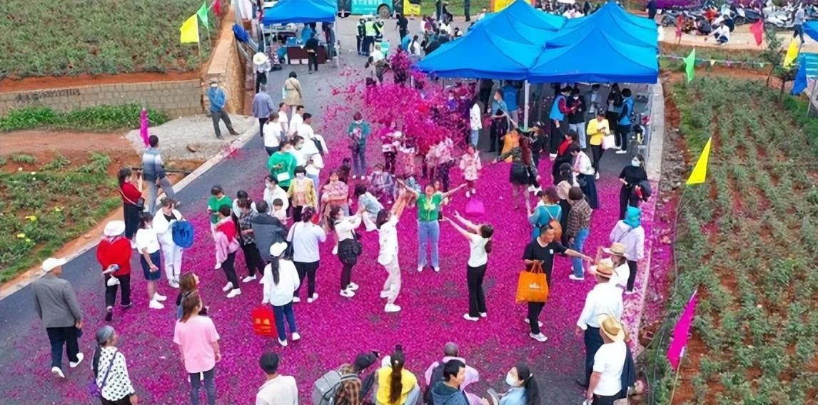 弥勒适合种植什么_云南弥勒高原特色农业_弥勒农村种植致富