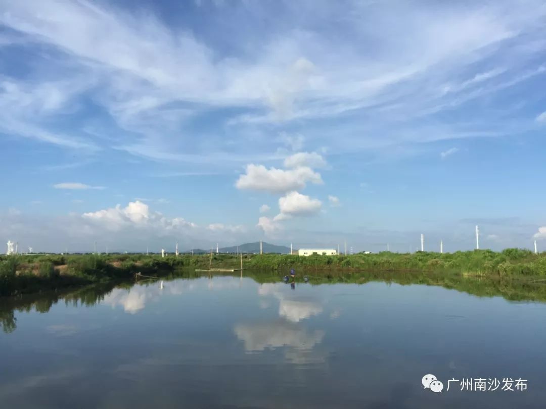 麻虾养殖_麻虾的养殖技术_麻虾怎么养活